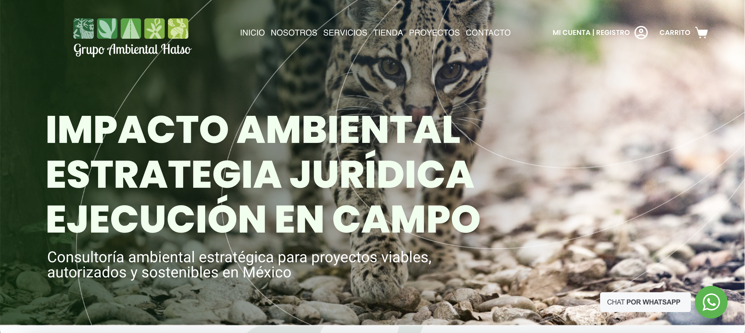costo diseño web para despacho juridico en mexico
