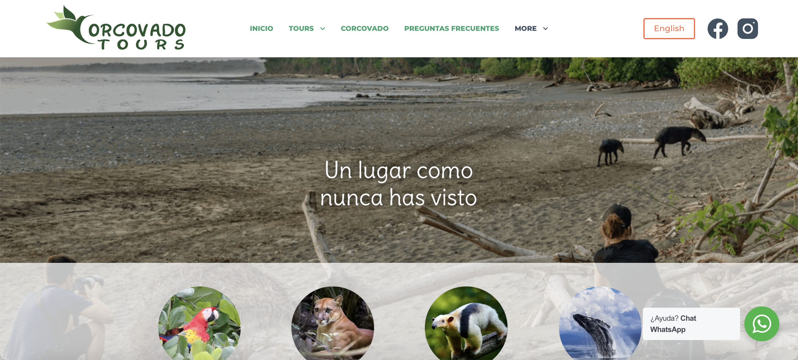 costos diseño de pagina para agencia de viajes