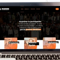 diseño-web-cdmx-empresas