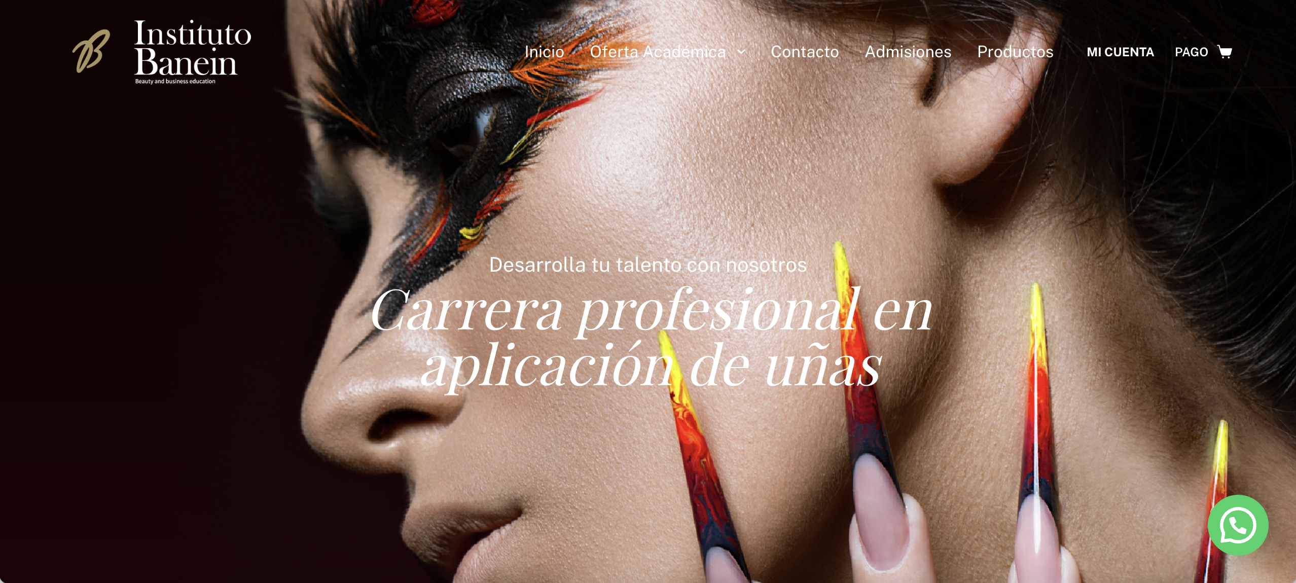 diseño web para escuelas en mexico